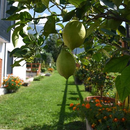 Апартаменты Il Giardino Dei Ciliegi Колико Экстерьер фото